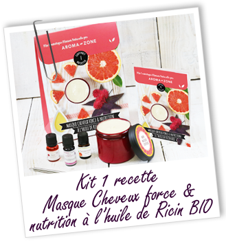 Coffret cosmétique maison Masque cheveux force & nutrition à l'huile de  Ricin BIO - Aroma-Zone