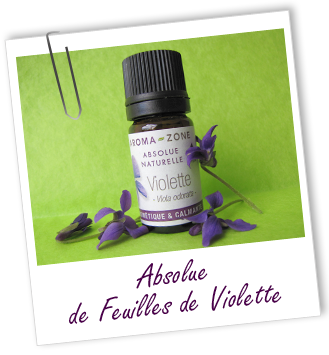 Absolue De Feuilles De Violette Proprietes Et Utilisations Aroma Zone