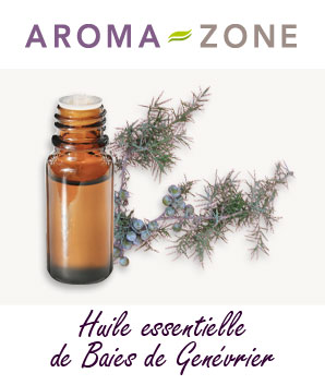 Huile essentielle de Genévrier : propriétés et utilisations - Aroma-Zone