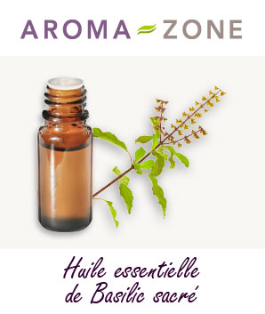 Huile essentielle de Basilic sacré : propriétés et utilisations - Aroma-Zone