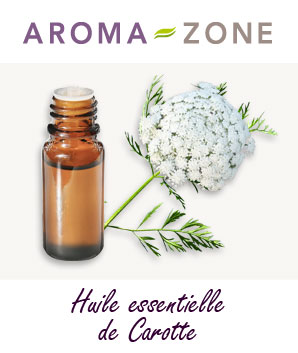 Huile essentielle de Carotte : propriétés et utilisations - Aroma-Zone