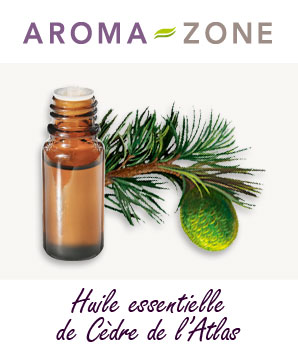 Huile essentielle de Cèdre de l'Atlas : propriétés et utilisations -  Aroma-Zone