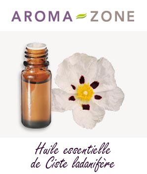 Huile essentielle de Ciste ladanifère : propriétés et utilisations -  Aroma-Zone