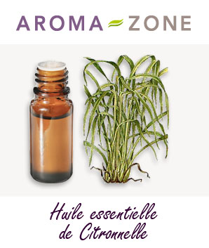 Huile essentielle de Citronnelle : propriétés et utilisations - Aroma-Zone