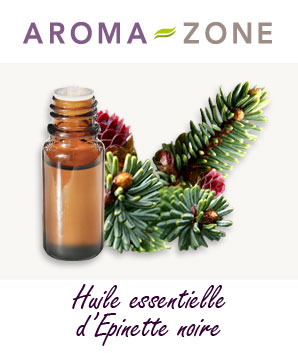 Huile essentielle d'Epinette noire : propriétés et utilisations - Aroma-Zone