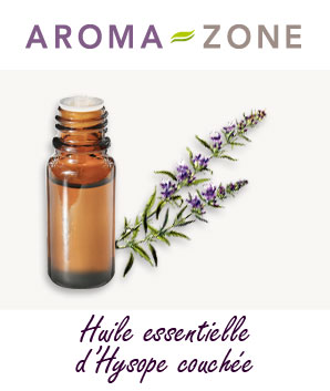 Huile essentielle d'Hysope couchée : propriétés et utilisations - Aroma-Zone