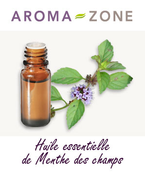 Huile essentielle de Menthe des champs : propriétés et utilisations -  Aroma-Zone