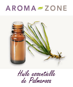 Huile essentielle de Palmarosa : propriétés et utilisations - Aroma-Zone