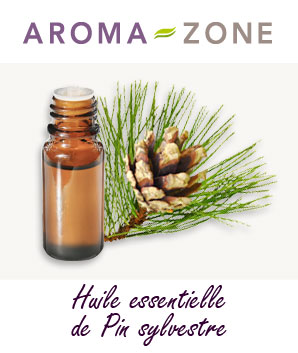 Huile essentielle de Pin sylvestre : propriétés et utilisations - Aroma-Zone