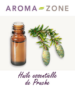 Huile essentielle de Pruche : propriétés et utilisations - Aroma-Zone