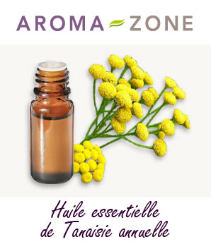 Huile essentielle de Tanaisie annuelle : propriétés et utilisations -  Aroma-Zone