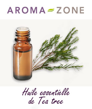 Huile essentielle de Tea tree : propriétés et utilisations - Aroma-Zone