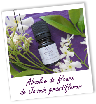 Absolue de Jasmin grandiflorum - Aroma-Zone