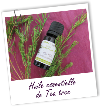 Huile essentielle de Tea tree (Arbre à Thé) - Aroma-Zone